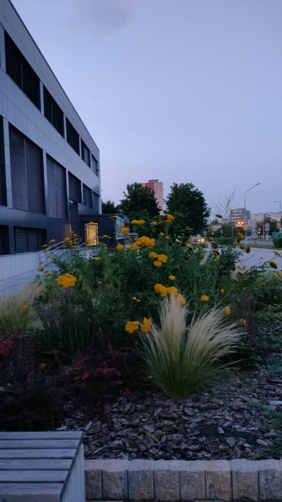 Bc.Róbert Okruhlica OK-DENT