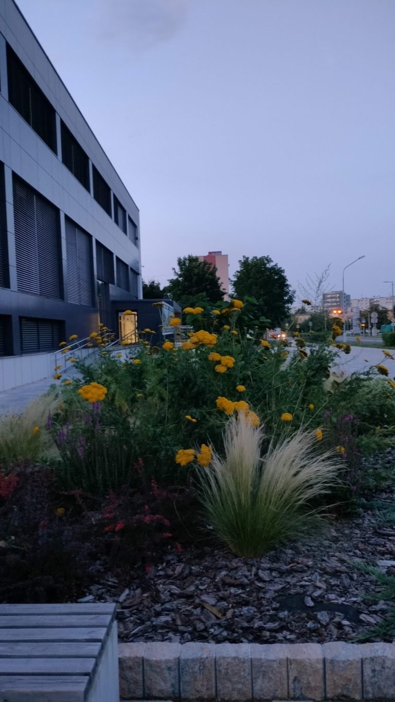 Bc.Róbert Okruhlica OK-DENT