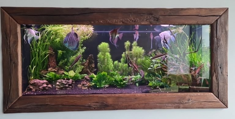 MUDr. Rudolf Novotný - Dentapex