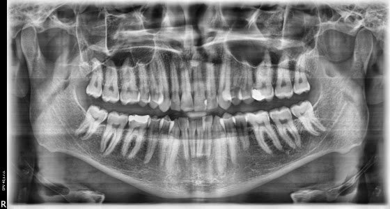 Fotografia kliniky