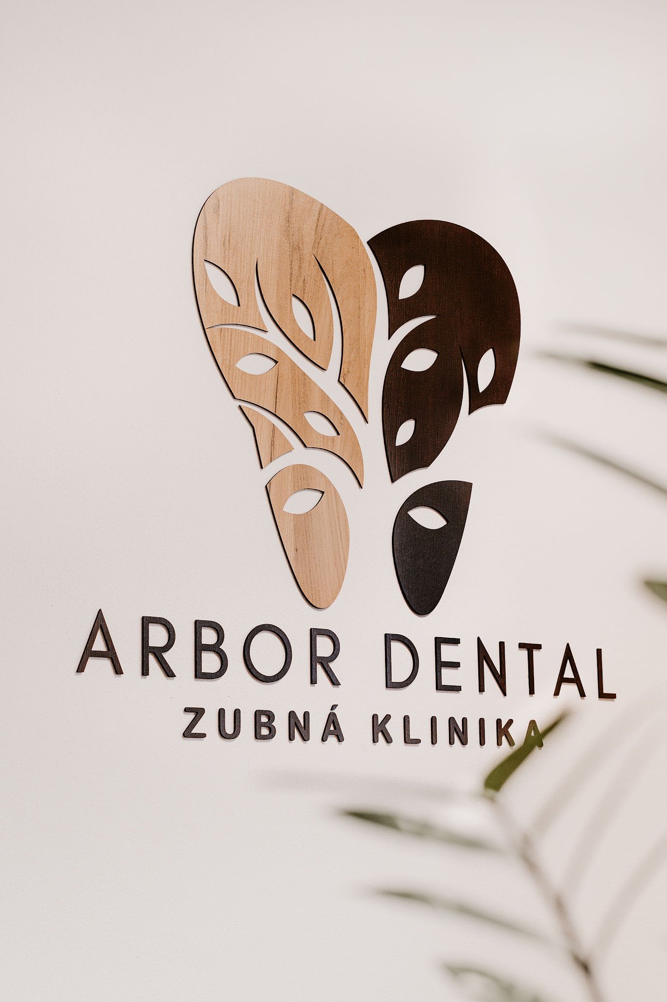 Fotografia kliniky