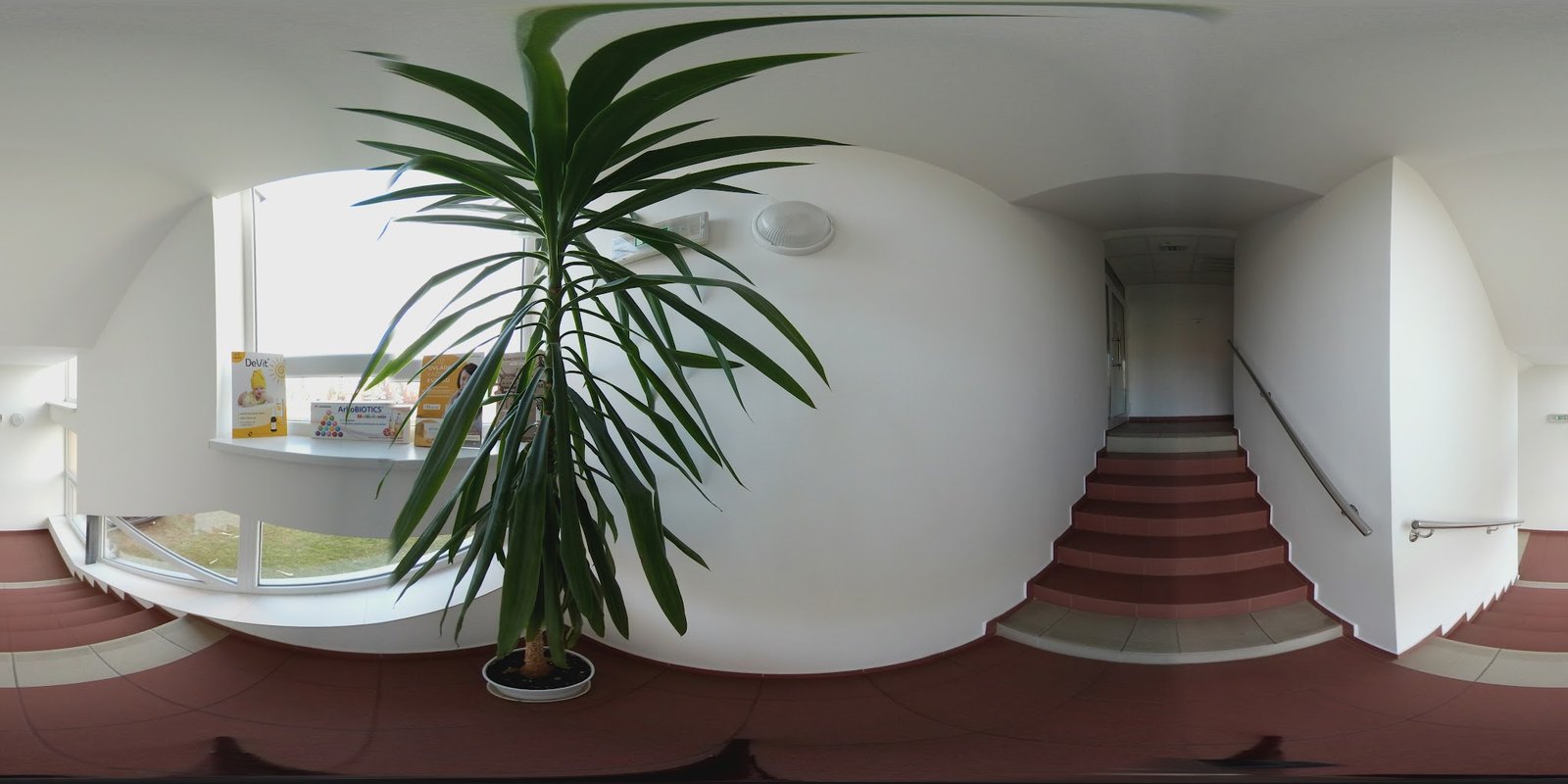 Fotografia kliniky