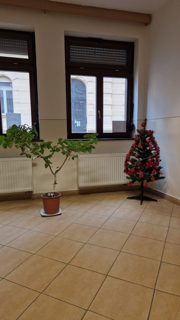 MUDr. Eva Čéryová - stomatológ