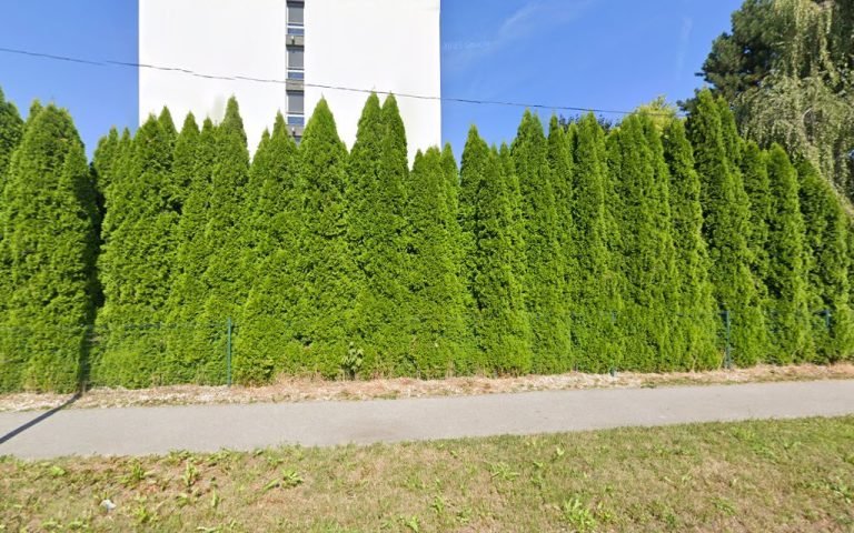 MUDr.Ľudmila Bencuľáková, stomatológia