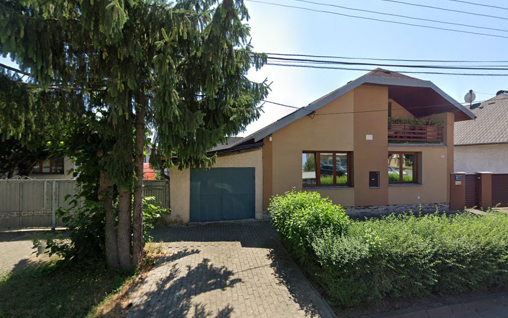 Rovňak Maroš Royal - Dent