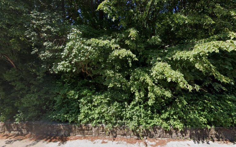 Zubná ambulancia MUDr. Katarína DODRVOVÁ