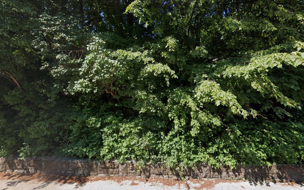 Zubná ambulancia MUDr. Katarína DODRVOVÁ