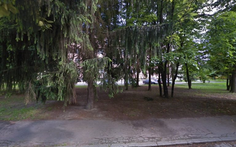 ZUBNÁ AMBULANCIA Schmidtová Dana, MUDr.